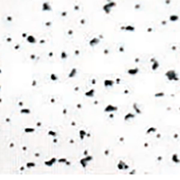 Panel acústico para cielo raso Radar™ | Clima Plus™